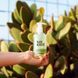 Безсульфатний шампунь Hair Grant Super Volume для об'єму волосся 250 мл 8004 фото 6