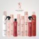Сухой шампунь CHI Royal Treatment Dry Shampoo для жирных волос и объёма 150 г RTDS5 фото 6