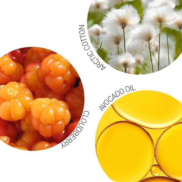 Заспокійливий тонік для обличчя Celenes by Sweden Cloudberry Soothing & Moisturizing Toner для сухої та чутливої шкіри 200 мл 5160189 фото