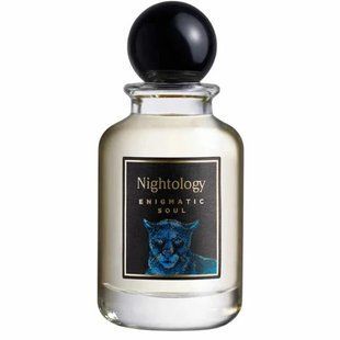 Парфюмированная вода Nightology Enigmatic Soul 100 мл древесно-пряный аромат 386204000 фото