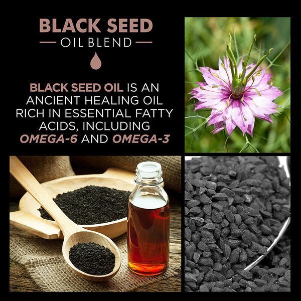 Масло чёрного тмина для волос CHI Luxury Black Seed Oil Blend Intense Repair Hot Oil Treatment для интенсивного восстановления 50 мл CHILOT1 фото